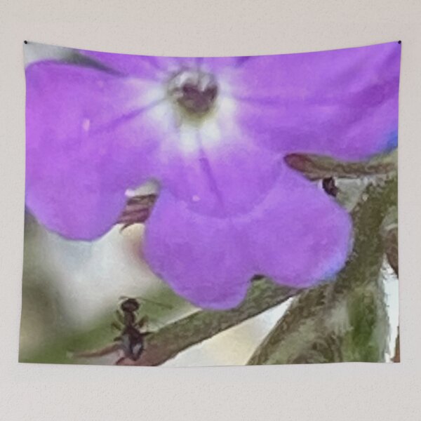 Item preview, Mildred The Ant Looks Up designed and sold by pinkyjainpan.