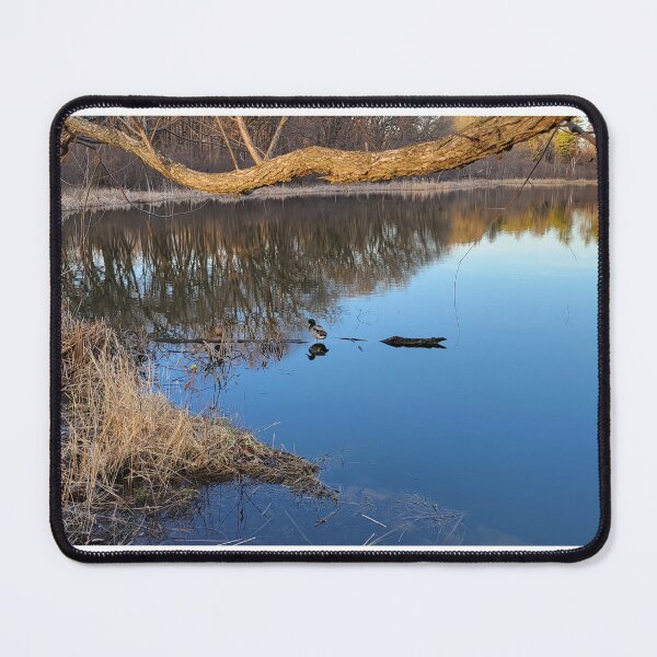 Item preview, Two Ducks on  Log designed and sold by NathanMoore92.