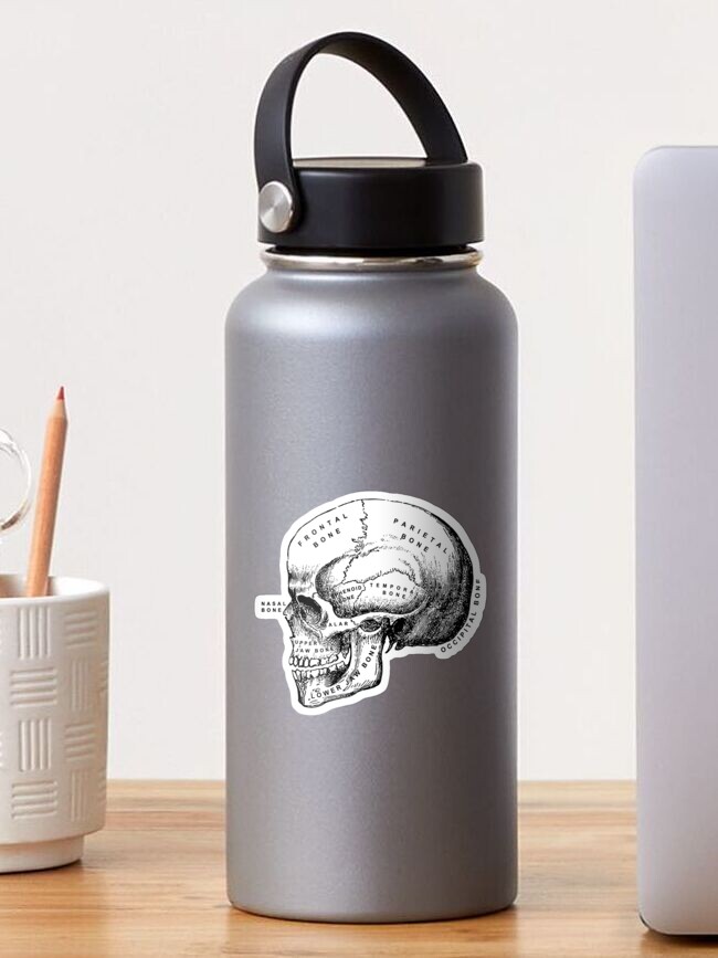 Thumbnail 1 of 3, Sticker, Vintage anatomical medical skull illustration designed and sold by Cravagnati.