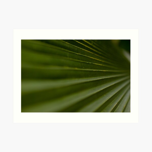 Leaf Steps Art Print