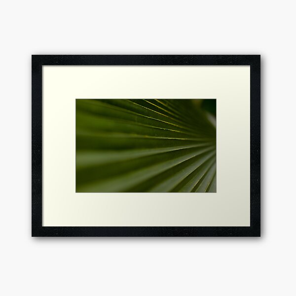 Leaf Steps Framed Art Print