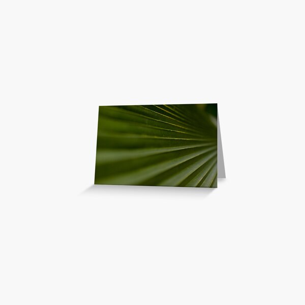 Leaf Steps Greeting Card