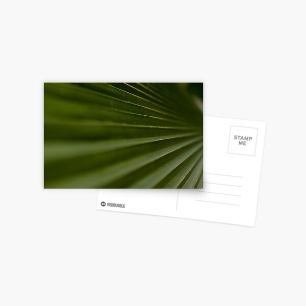 Leaf Steps Postcard
