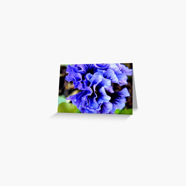 Item preview, Frilly Pansy designed and sold by ElsT.