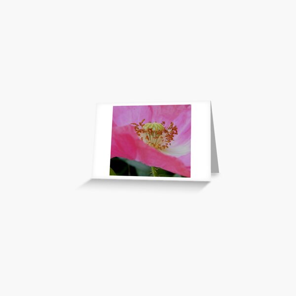 Item preview, Centre of Attention designed and sold by ElsT.