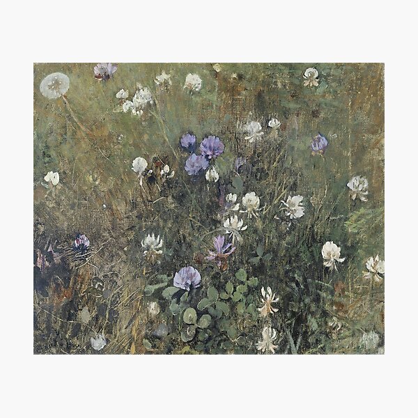 Jac Van Looij - Blooming Clover, 1897 Photographic Print