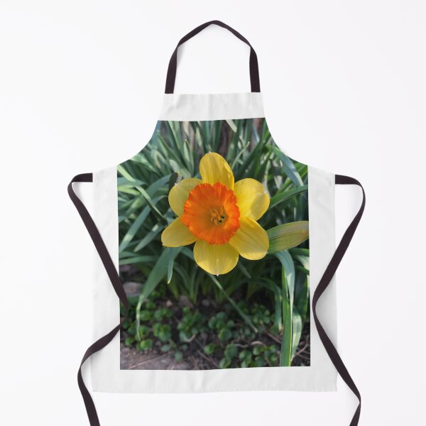 Item preview, Lovely orange center yellow daffodil designed and sold by FlowersAndMore.