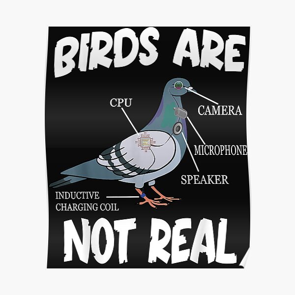 birds-are-not-real-funny-bird-spies-conspiracy-theory-birds-poster-by