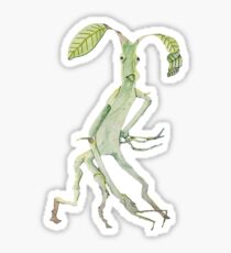 Pickett The Bowtruckle Sticker