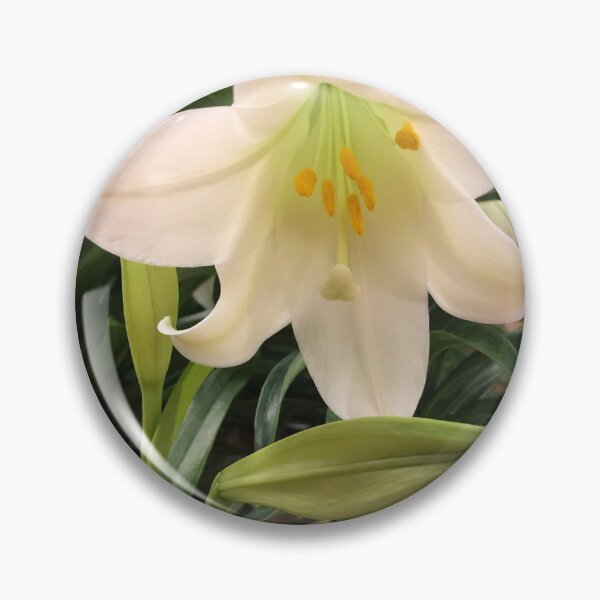 Item preview, Lovely Easter lily  designed and sold by FlowersAndMore.