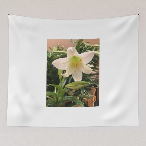 Item preview, Lovely Easter lily  designed and sold by FlowersAndMore.