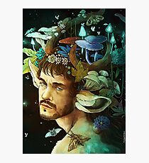 Willstag Photographic Print