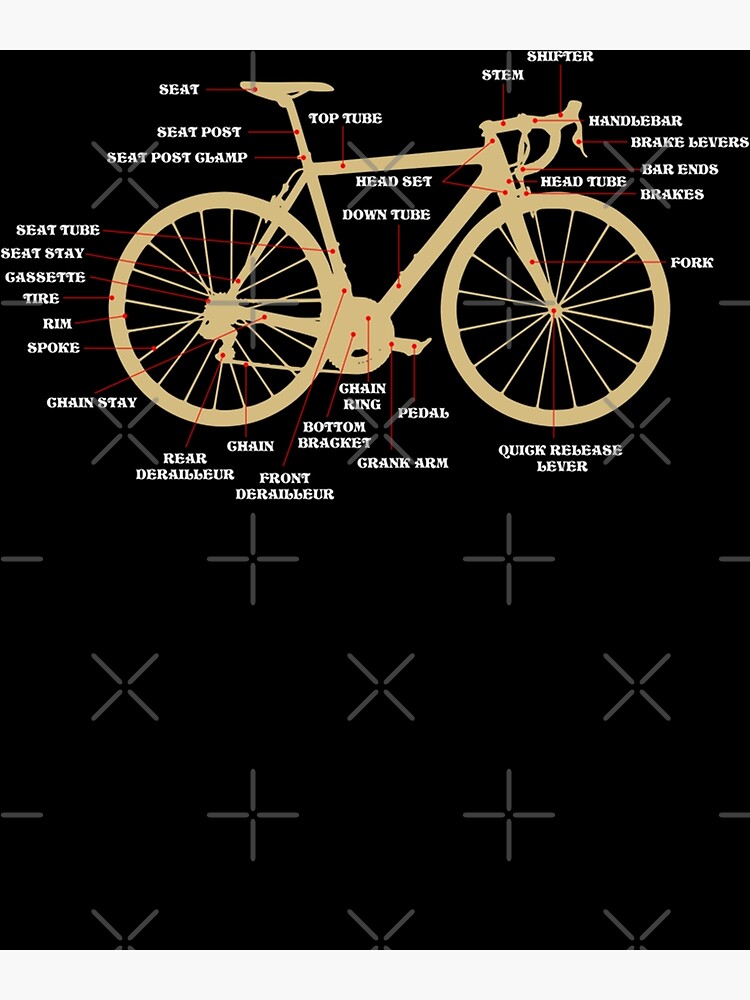 Poster for Sale mit Fahrrad Radfahren Anatomie Rennrad Teile