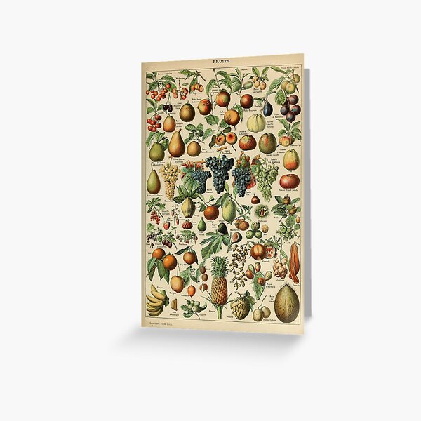 fruit vintage illustration Greeting Card