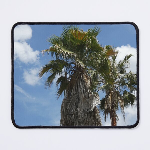 Item preview, Fotografía de palmeras tropicales designed and sold by thesofiaarchive.