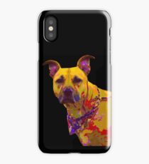 Pit Bull iPhone Case/Skin
