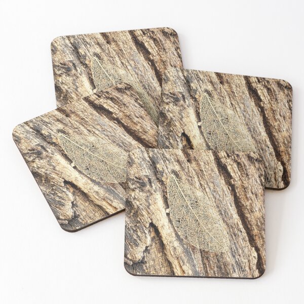 Item preview, Leaf Skeleton on Wood designed and sold by NJartbyNJacobson.
