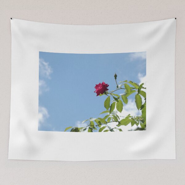 Artikelvorschau, Einzelne rosa Blume und blauer Himmel entworfen und verkauft von thesofiaarchive.
