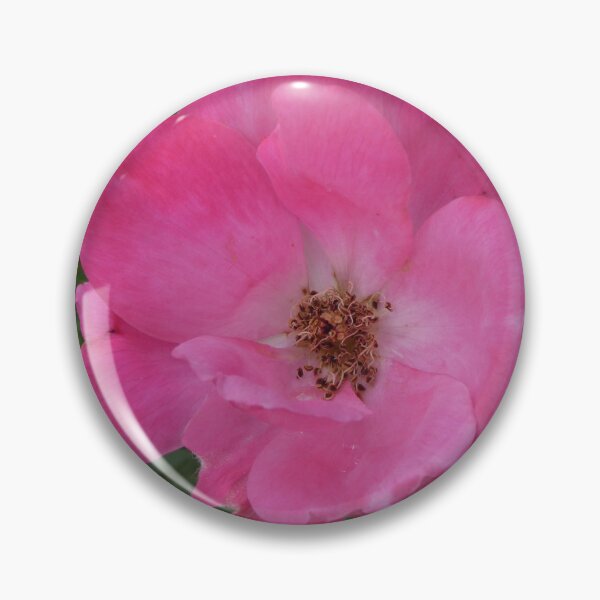 Item preview, Pink Flower and Green Leaves Photography designed and sold by thesofiaarchive.