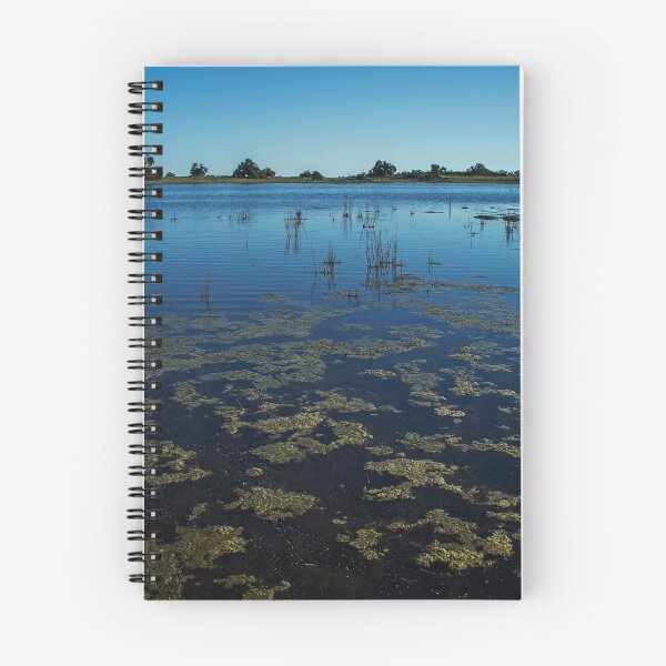 Item preview, Vernal Pools designed and sold by sgrace.
