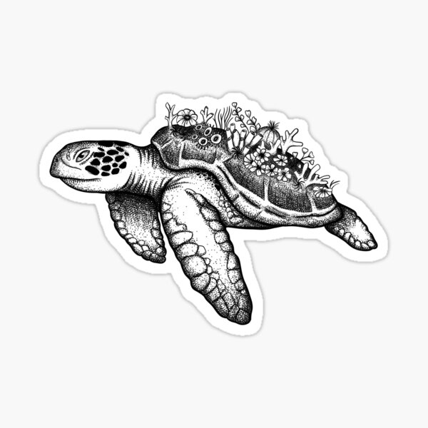Sea Turtle Design Sticker