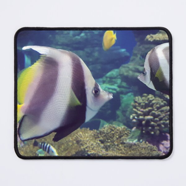 Item preview, Unda Da Sea Ushaka aquarium designed and sold by baldbrothersart.