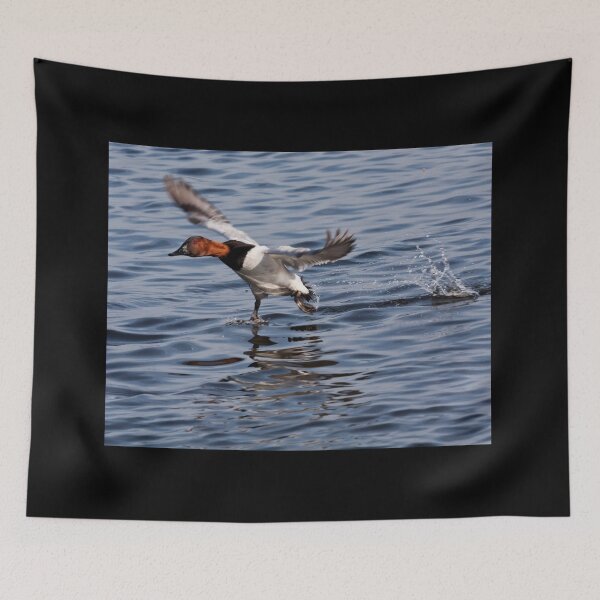 Item preview, Canvasback designed and sold by BeckyGregory.
