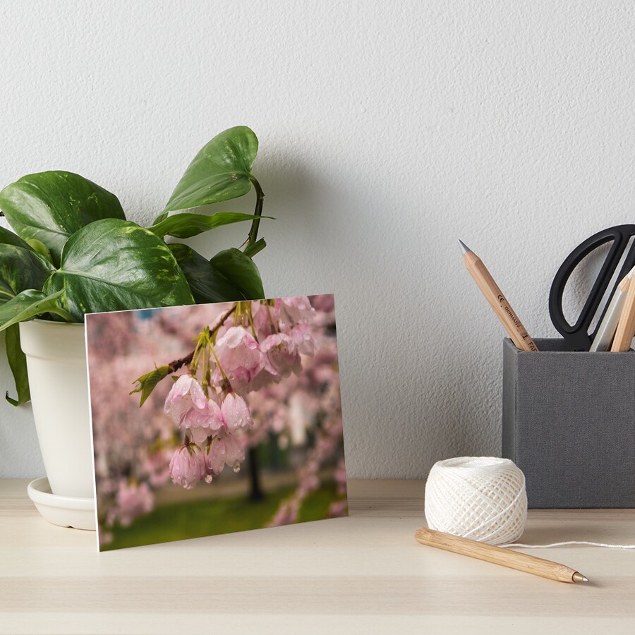 Item preview, Art Board Print designed and sold by raetucker.