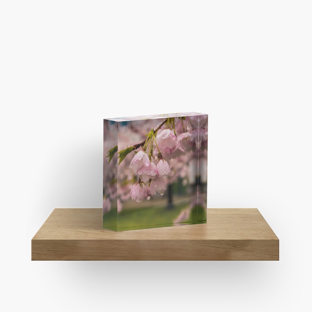 Item preview, Acrylic Block designed and sold by raetucker.