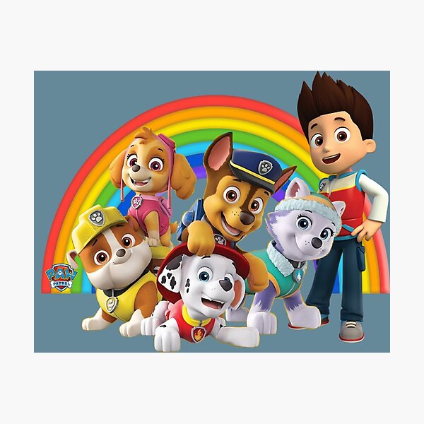 paw patrol characters for sale