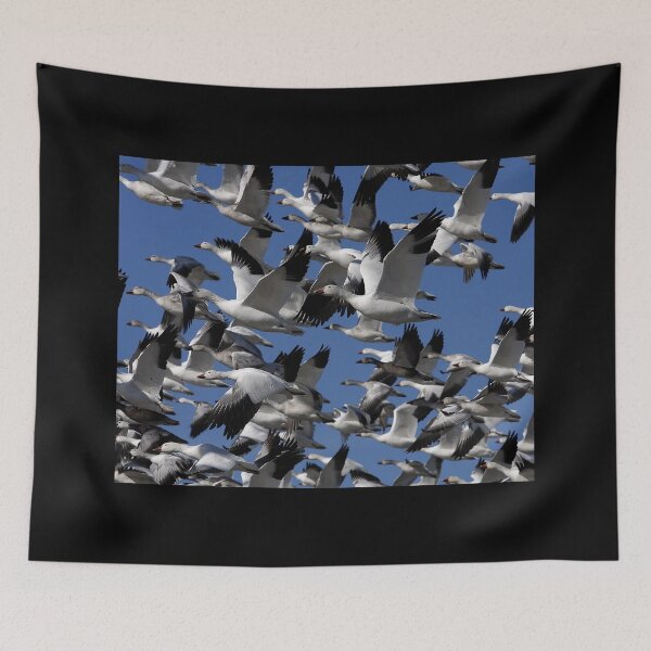 Item preview, Snow Geese in flight designed and sold by BeckyGregory.