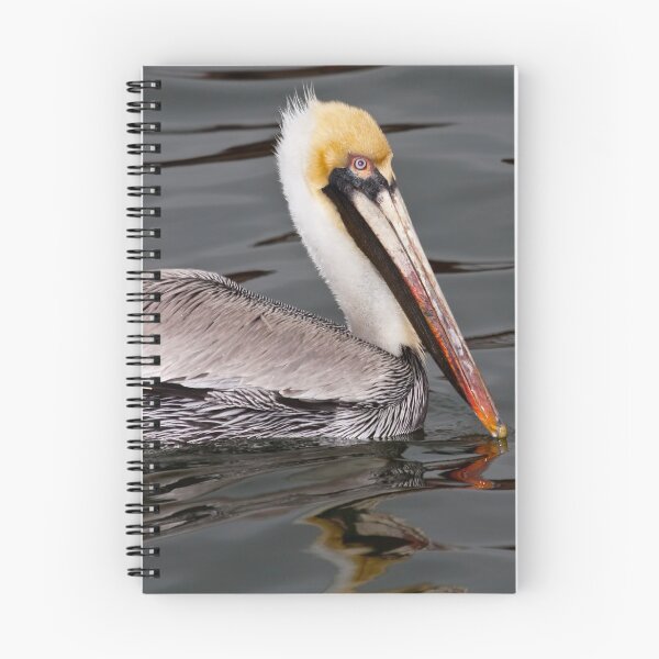 Item preview, Brown Pelican designed and sold by BeckyGregory.