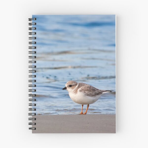 Item preview, Piping Plover designed and sold by BeckyGregory.