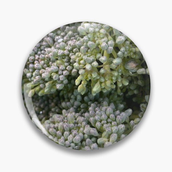 Item preview, Broccoli designed and sold by vonJohnstonArt.