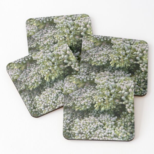 Item preview, Broccoli designed and sold by vonJohnstonArt.