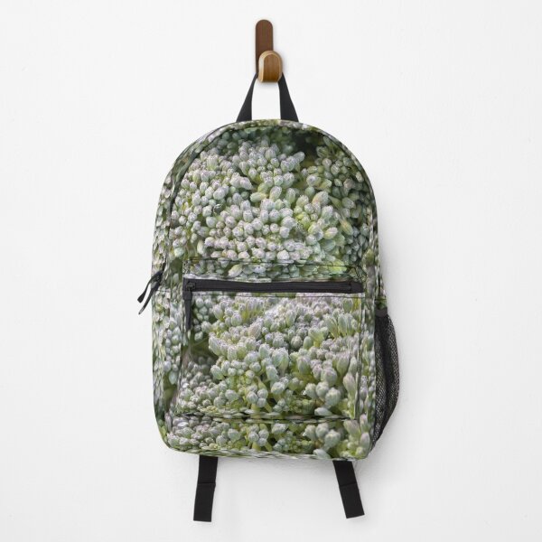Item preview, Broccoli designed and sold by vonJohnstonArt.