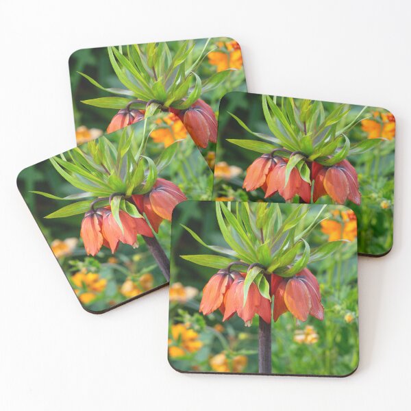 Item preview,  Fritillaria imperialis designed and sold by Dave Hare Photography.