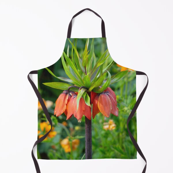 Item preview,  Fritillaria imperialis designed and sold by Dave Hare Photography.