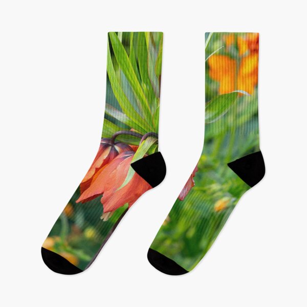 Item preview,  Fritillaria imperialis designed and sold by Dave Hare Photography.
