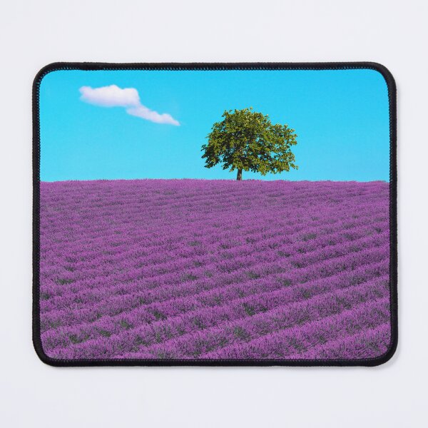 Item preview, Lavender flowers field, tree and cloud. Provence, France designed and sold by Stefano Orazzini.