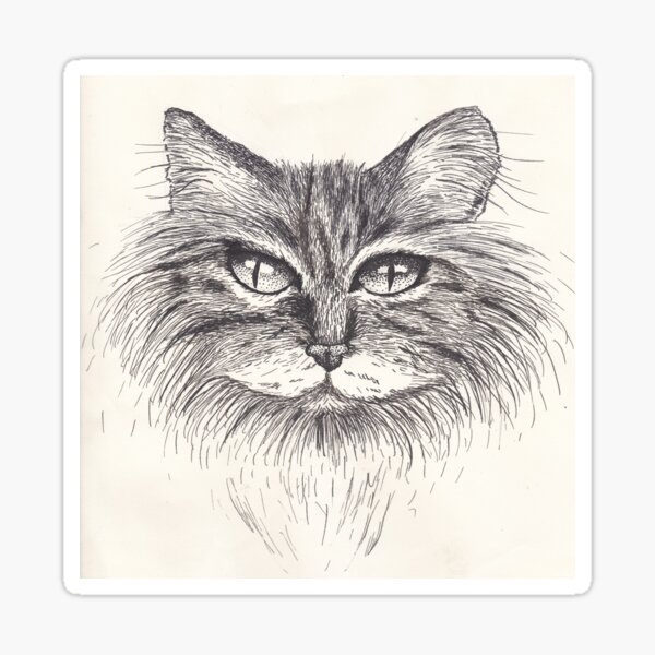 Portrait of a cat Sticker