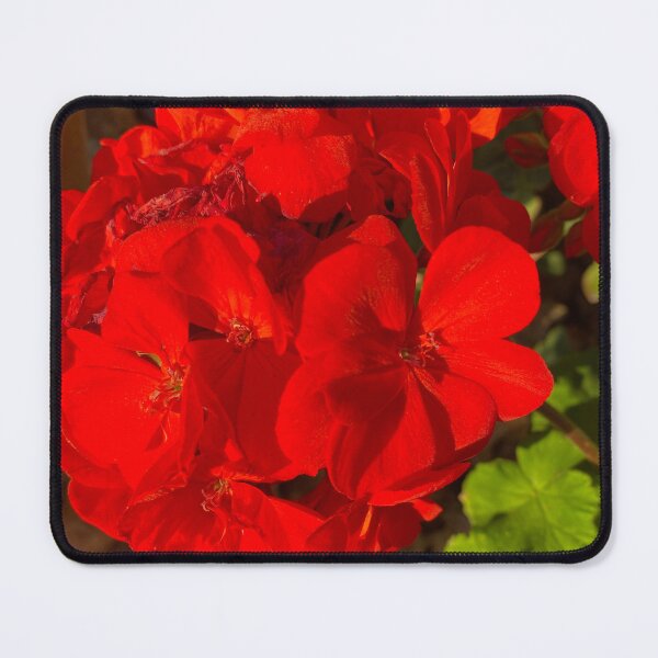 Item preview, Geranium Flower designed and sold by vonJohnstonArt.