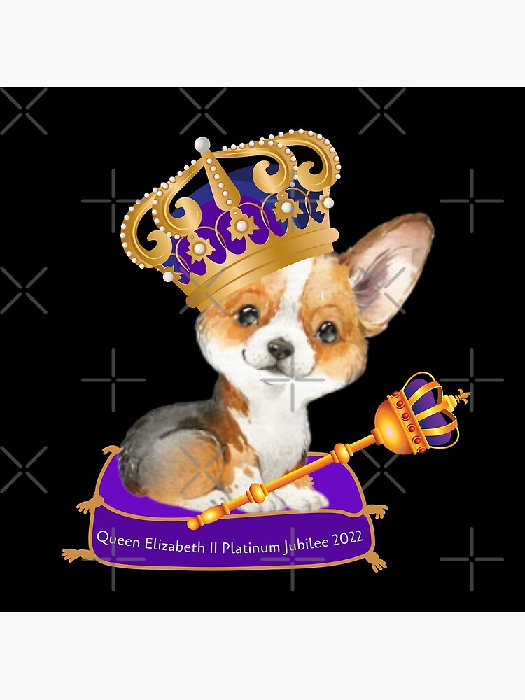 Queen Elizabeth II's Last Flight Is The Most Tracked In History - Foto 14