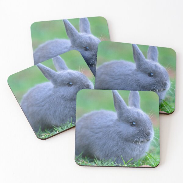 Item preview, One Cute Fluffy Grey Bunny designed and sold by cgroenewald.