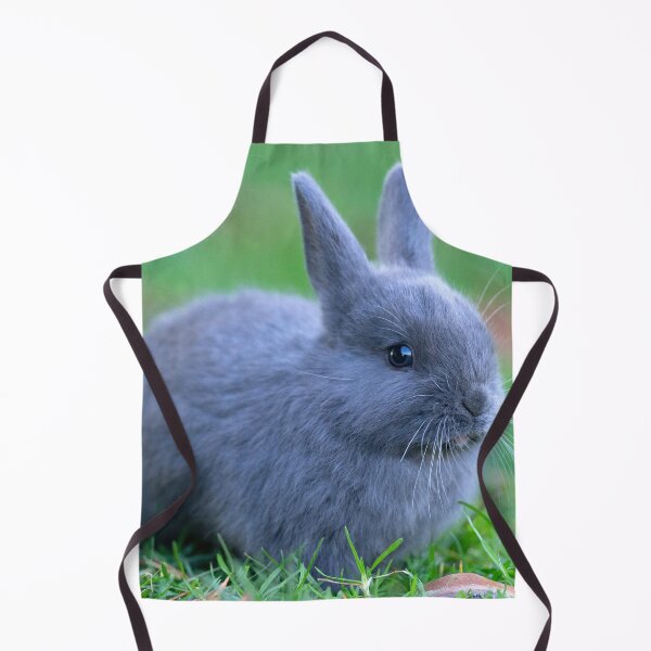 Item preview, One Cute Fluffy Grey Bunny designed and sold by cgroenewald.
