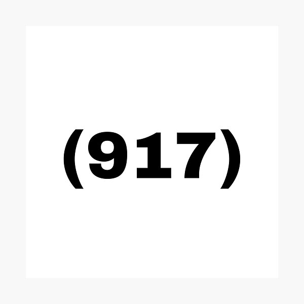 nyc-area-code-917-five-boroughs-of-new-york-city-the-bronx