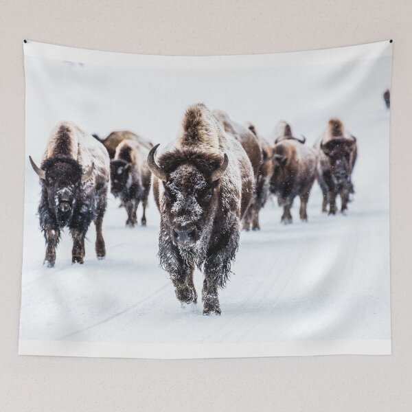 Item preview, Bison Bulls Treading in the Snow designed and sold by YunekOriginals.