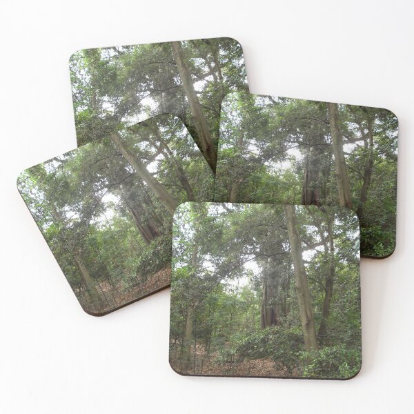 Item preview, walk designed and sold by Jodie Cooper.