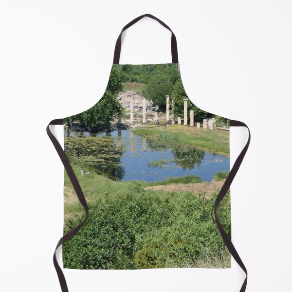 Item preview, Roman Remains of The Portico of Tiberius Aphrodisias designed and sold by taiche.