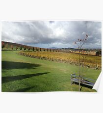 Vineyard Poster